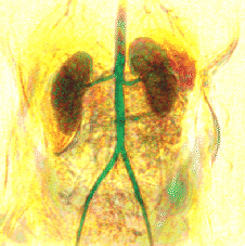 \includegraphics [height=5cm] {images/small_interpolation_tricubic.eps}