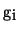 $g_{i}$