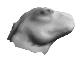 \resizebox{6cm}{!}{ \includegraphics{pic/Dino5.eps} }