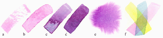 \resizebox*{1\textwidth}{!}{\includegraphics{watercolor-originalstrokes.eps}}