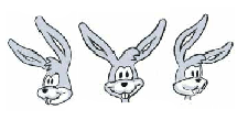 \resizebox*{5cm}{!}{\includegraphics{EVL-1999-277.eps}}